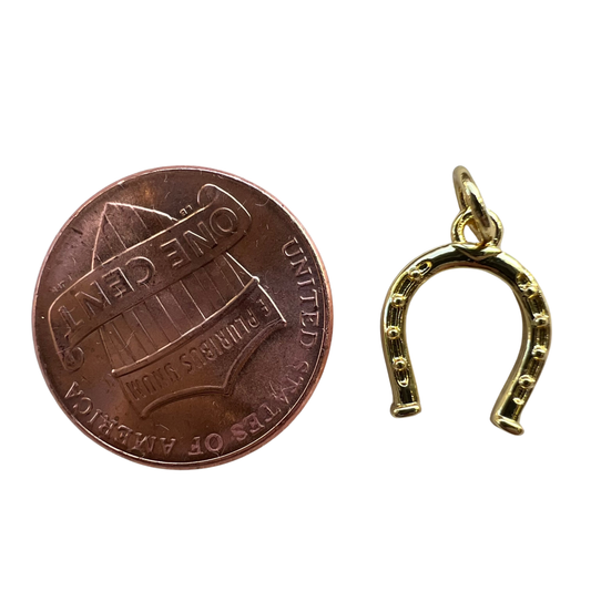 HORSESHOE CHARM