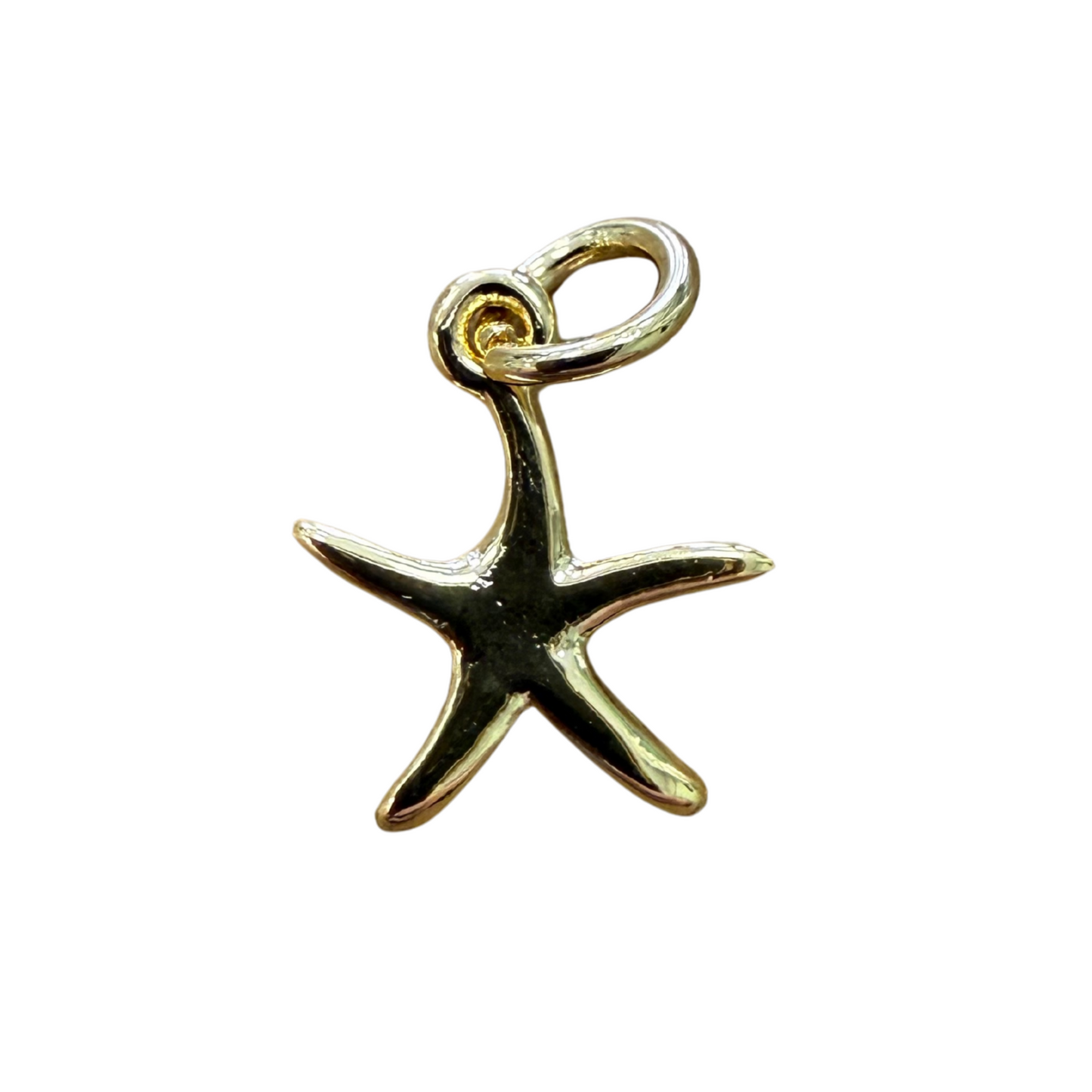 STARFISH CHARM