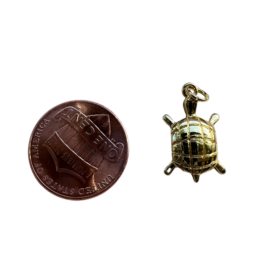 TURTLE CHARM