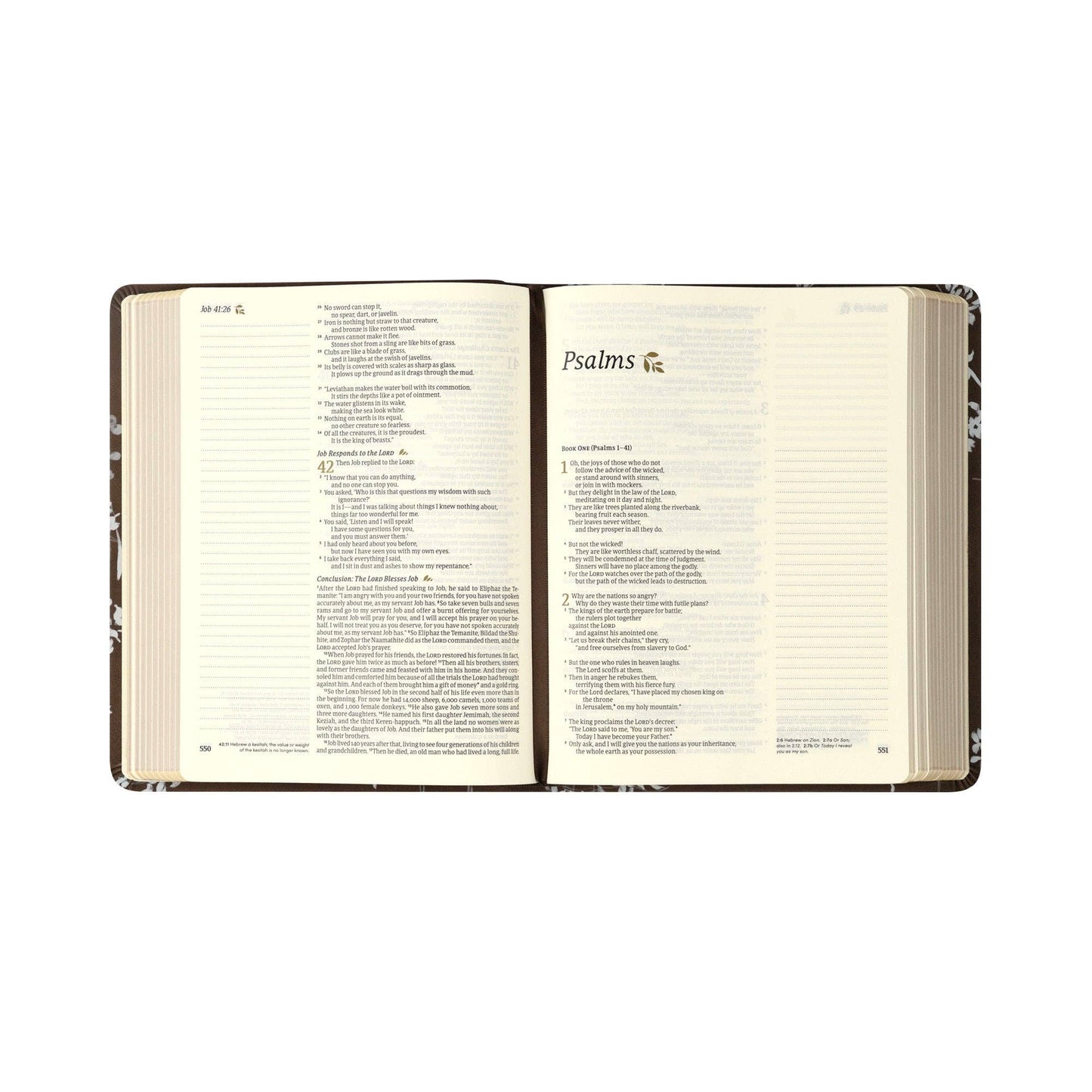 NLT Notetaking Bible: Lijiang Theme