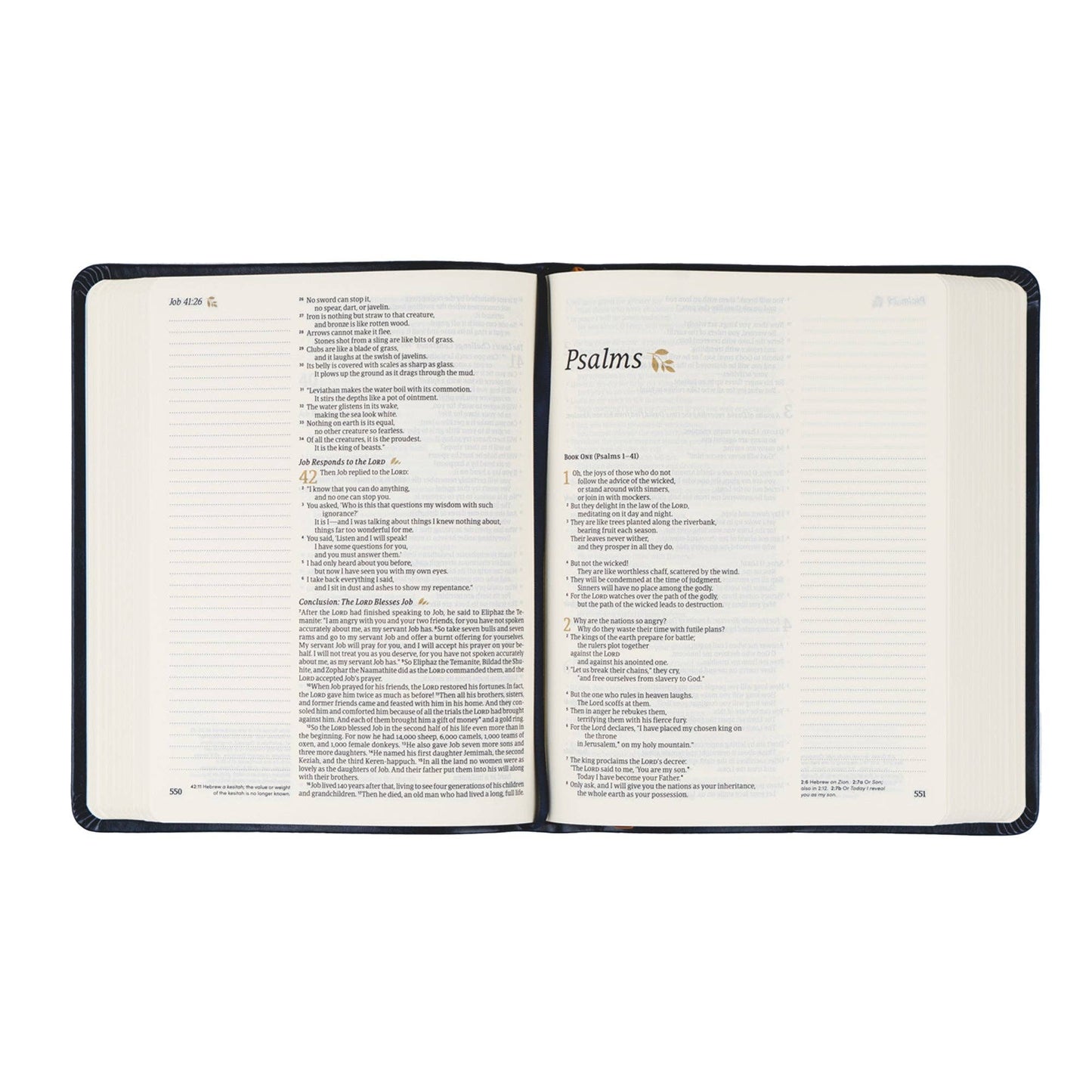 NLT Notetaking Bible: Versailles Theme