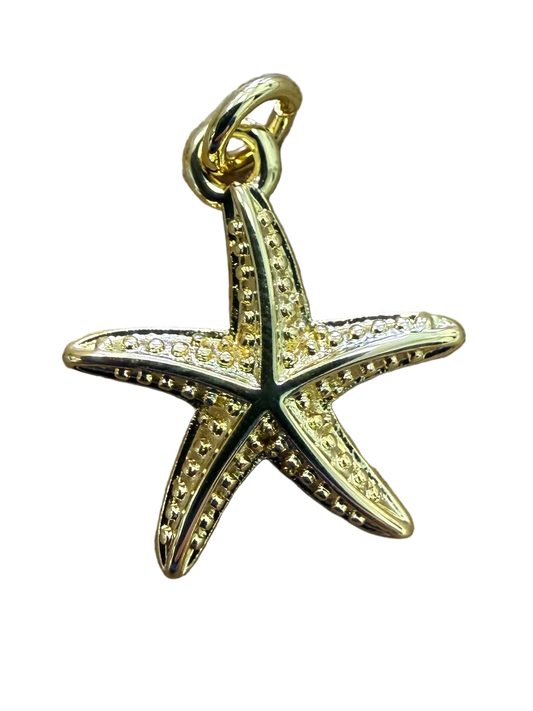 MEDIUM GOLD STAR FISH CHARM