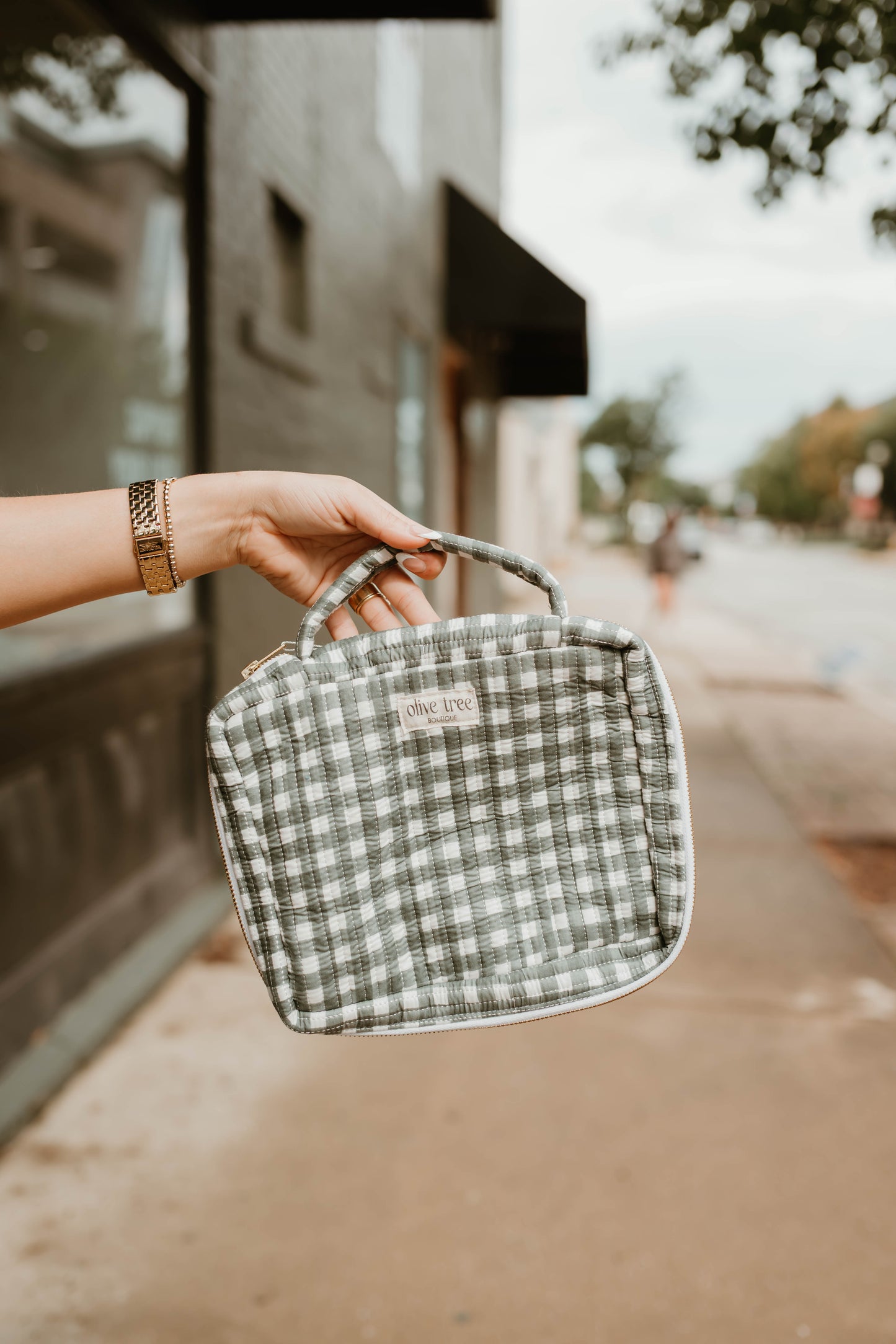 SAGE GINGHAM BIBLE CASE