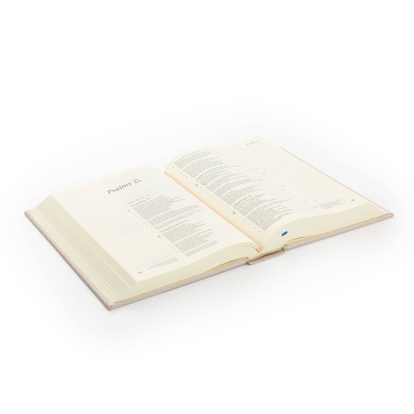 CSB Notetaking Bible: Oxford Theme