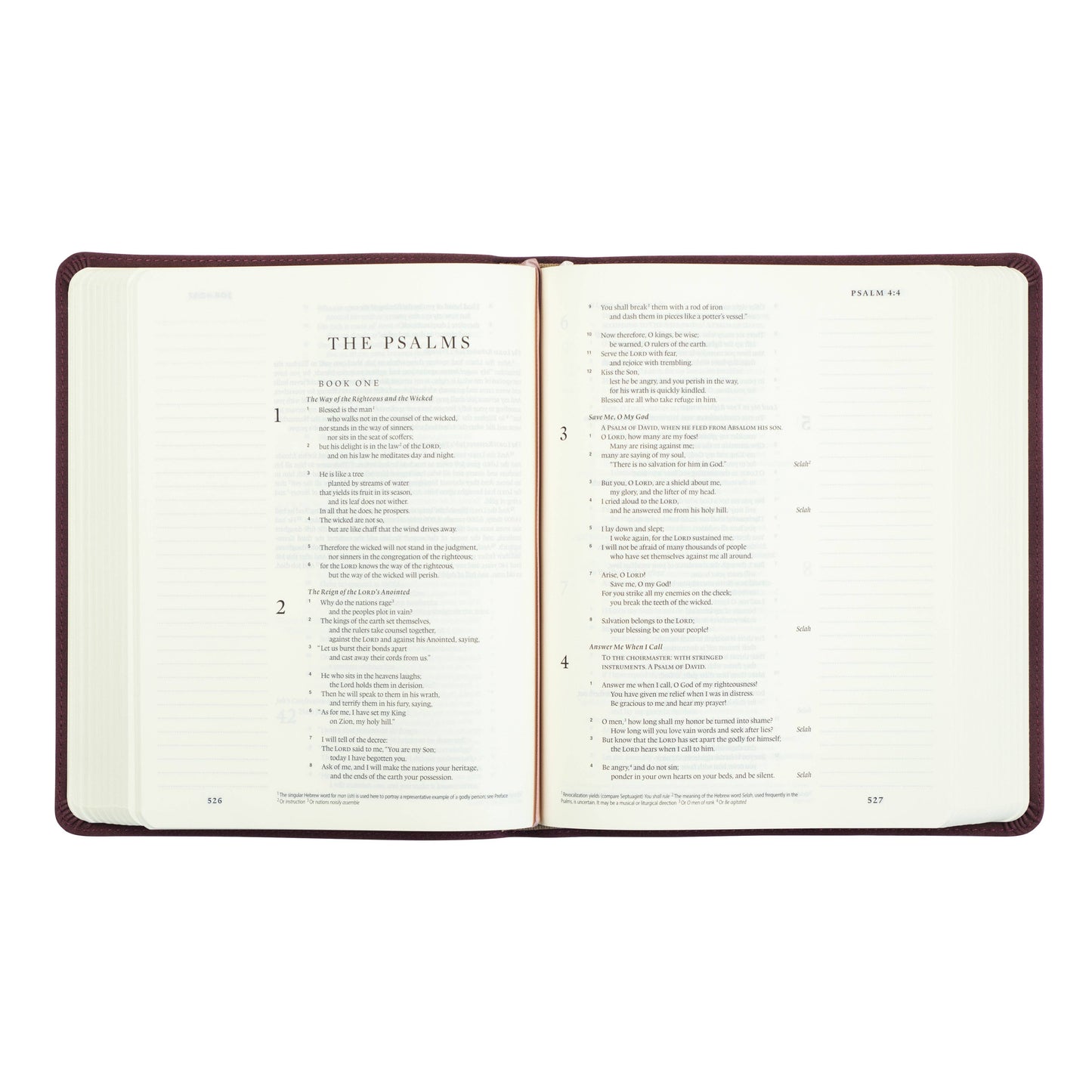 ESV Journaling Bible : Helena Theme