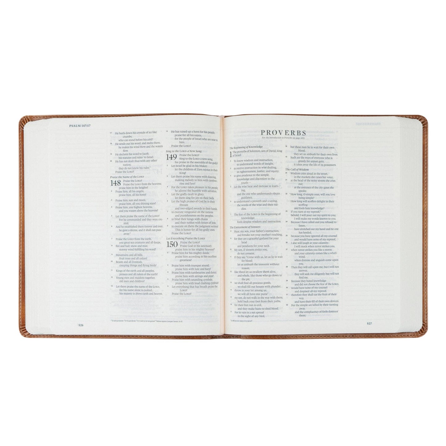 ESV Journaling Bible: Sierra Theme